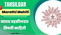 Tahsildar Information In Marathi | Tahsildar Marathi Mahiti
