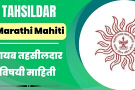 Tahsildar Information In Marathi | Tahsildar Marathi Mahiti